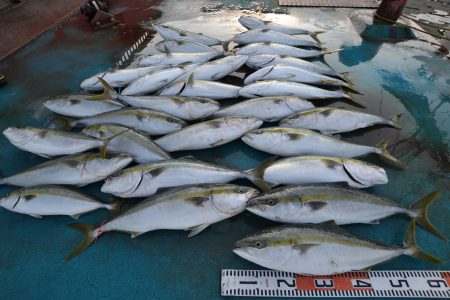 アジアマリンサービス 釣果