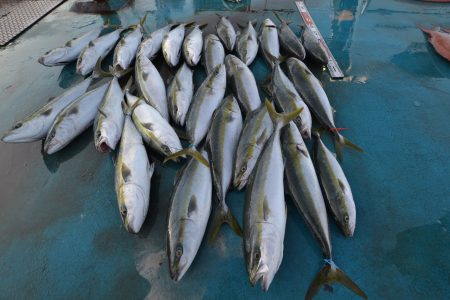 アジアマリンサービス 釣果