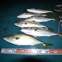 アジアマリンサービス 釣果