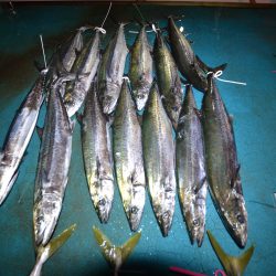 アジアマリンサービス 釣果