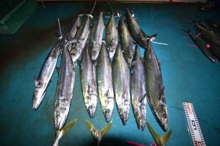 アジアマリンサービス 釣果