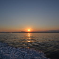 アジアマリンサービス 釣果