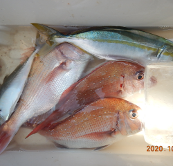 作十丸 釣果