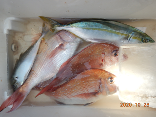 作十丸 釣果