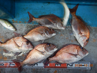 作十丸 釣果