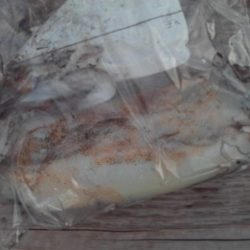 こかわ渡船　雅丸 釣果