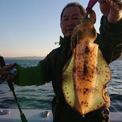 フィッシングボートACE(エース) 釣果