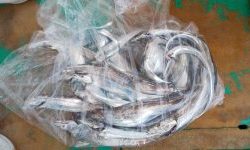 恵比寿丸(兵庫) 釣果