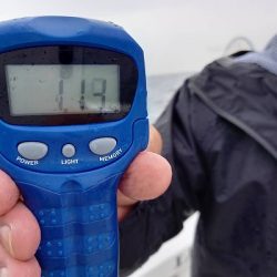 フィッシングボートACE（エース） 釣果