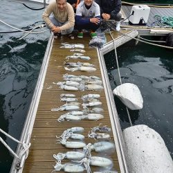 フィッシングボートACE（エース） 釣果