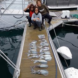 フィッシングボートACE（エース） 釣果