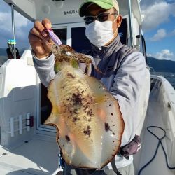 フィッシングボートACE(エース) 釣果