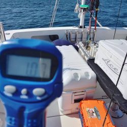 フィッシングボートACE（エース） 釣果