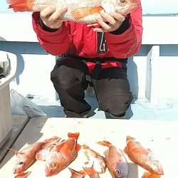 金剛丸 釣果