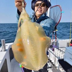 フィッシングボートACE（エース） 釣果