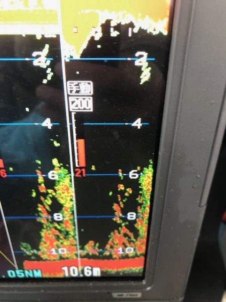 深川 吉野屋 釣果