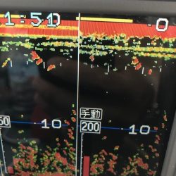 深川 吉野屋 釣果