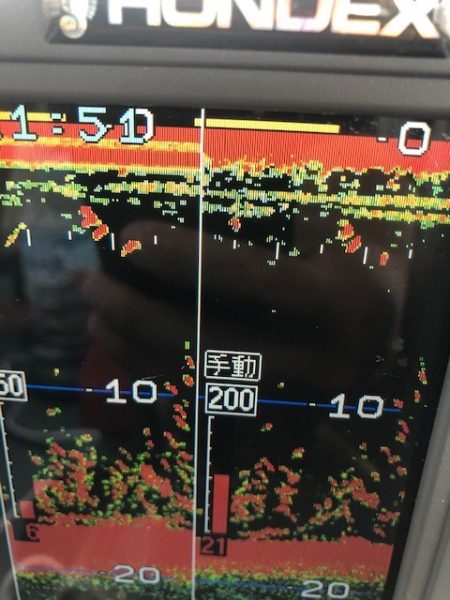 深川 吉野屋 釣果