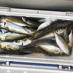 深川 吉野屋 釣果