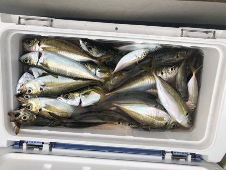 深川 吉野屋 釣果