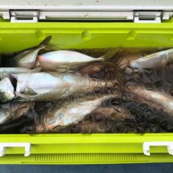 深川 吉野屋 釣果