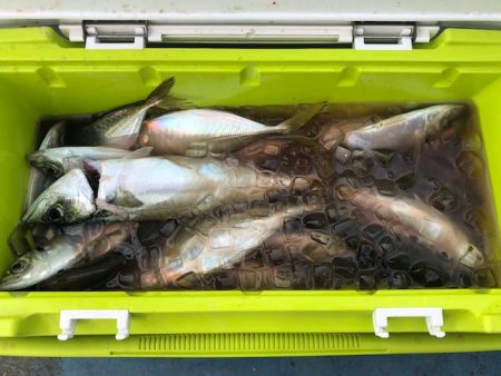 深川 吉野屋 釣果