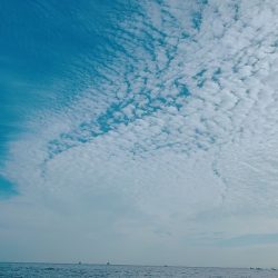 フィシングボートAir(エアー) 釣果