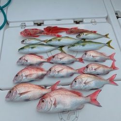 フィシングボートAir(エアー) 釣果