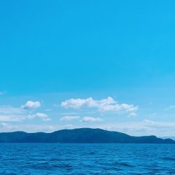 フィシングボートAir(エアー) 釣果