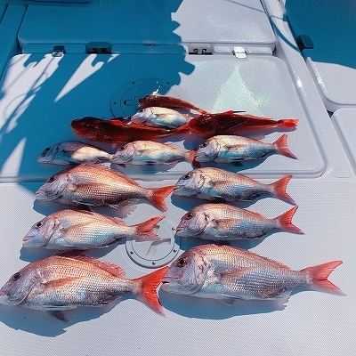 フィシングボートAir(エアー) 釣果