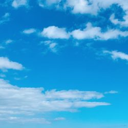 フィシングボートAir(エアー) 釣果