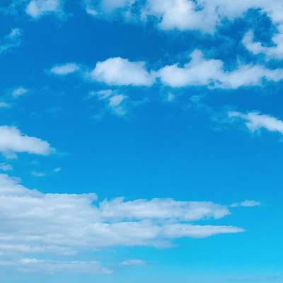 フィシングボートAir(エアー) 釣果