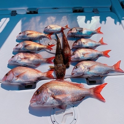 フィシングボートAir(エアー) 釣果