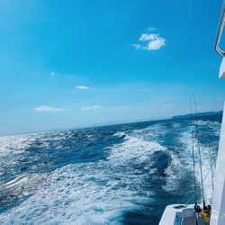 フィシングボートAir(エアー) 釣果