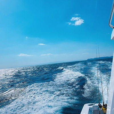 フィシングボートAir(エアー) 釣果