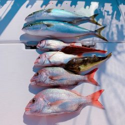 フィシングボートAir(エアー) 釣果