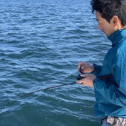 フィシングボートAir(エアー) 釣果