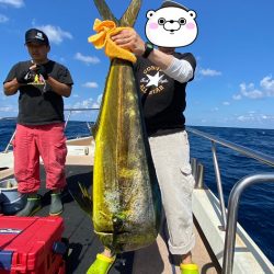 オーシャンズ　京都 釣果