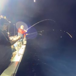 オーシャンズ　京都 釣果