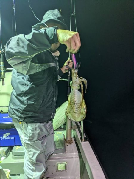 オーシャンズ　京都 釣果