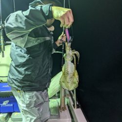 オーシャンズ　京都 釣果