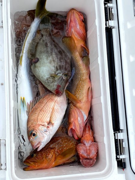 オーシャンズ 京都 釣果