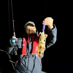 オーシャンズ　京都 釣果