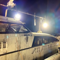 オーシャンズ　京都 釣果