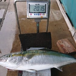 オーシャンズ　京都 釣果