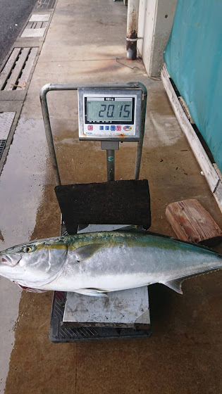 オーシャンズ　京都 釣果