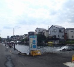 朝霞ガーデン 釣果