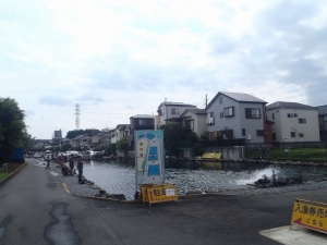 朝霞ガーデン 釣果