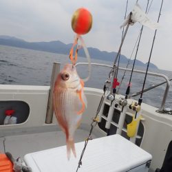 Aquanaut(アクアノート) 釣果