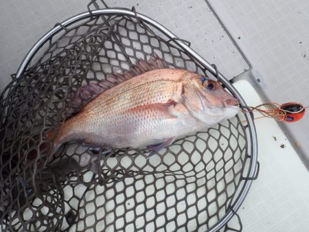 Aquanaut(アクアノート) 釣果